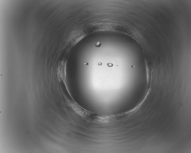 X0000080170190200612151932