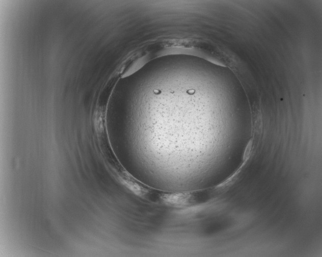 X0000080170191200612151932