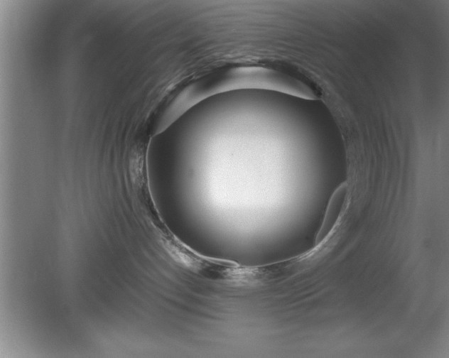 X0000080170192200612151932