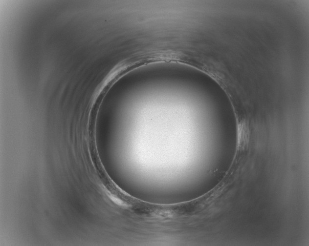 X0000080170195200612151931