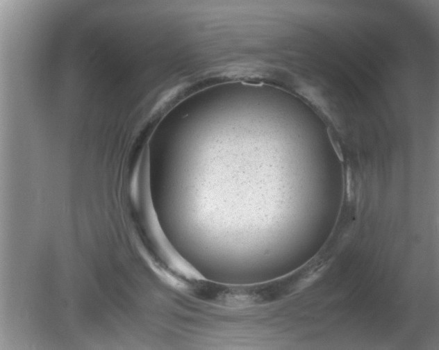 X0000080170205200612151931