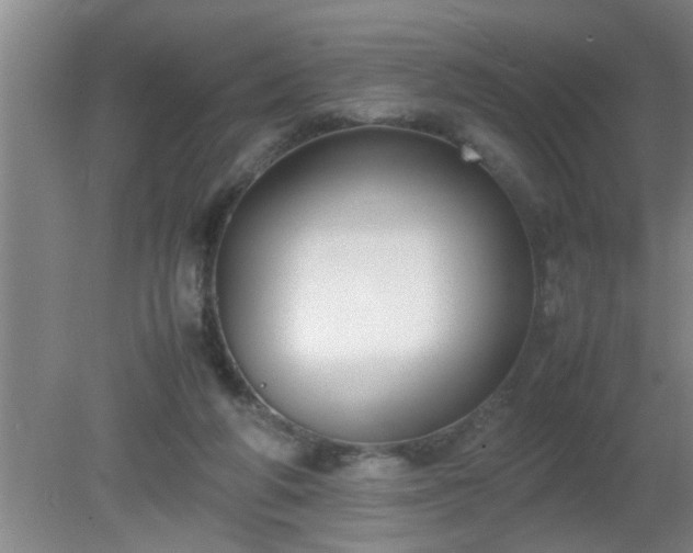 X0000080170210200612151931