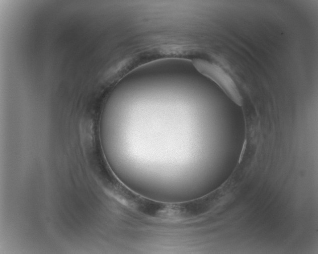 X0000080170211200612151931