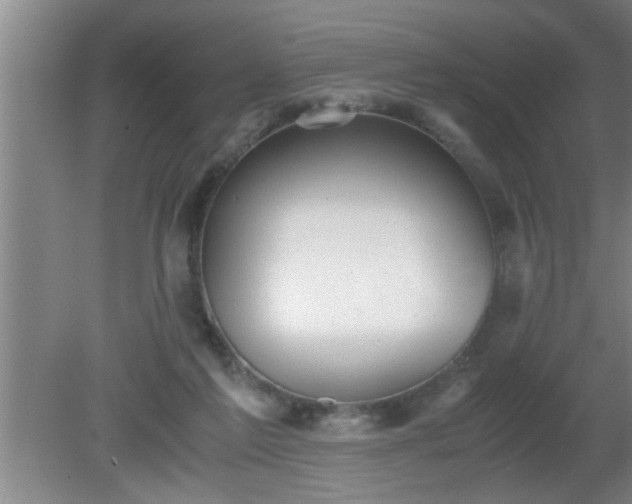 X0000080170213200612151931