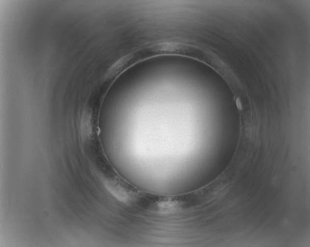 X0000080170216200612151931