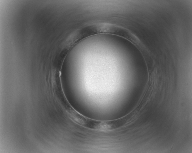 X0000080170217200612151931