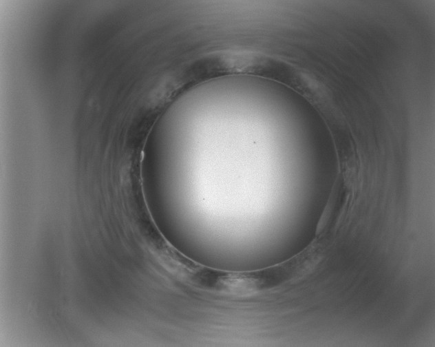 X0000080170221200612151931