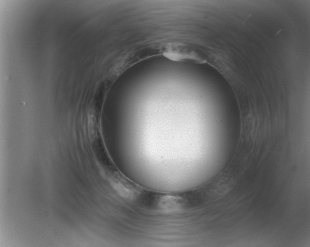 X0000080170222200612151931