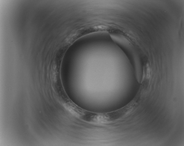 X0000080170223200612151931