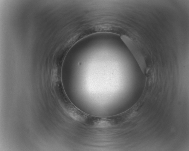 X0000080170224200612151931