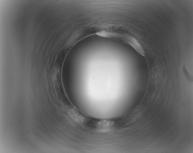 X0000080170225200612151931