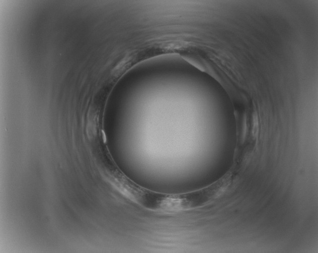 X0000080170227200612151931