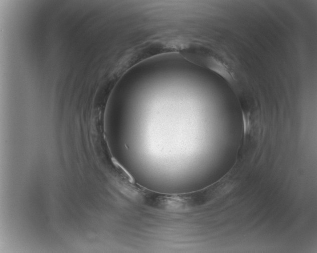 X0000080170229200612151931