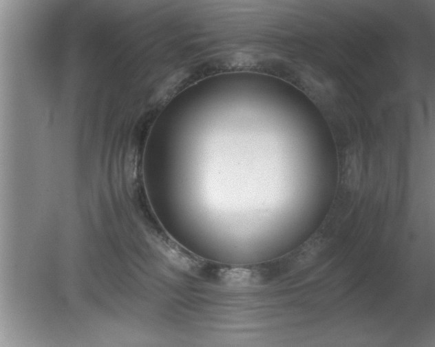 X0000080170230200612151931