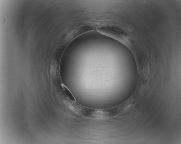 X0000080170231200612151931