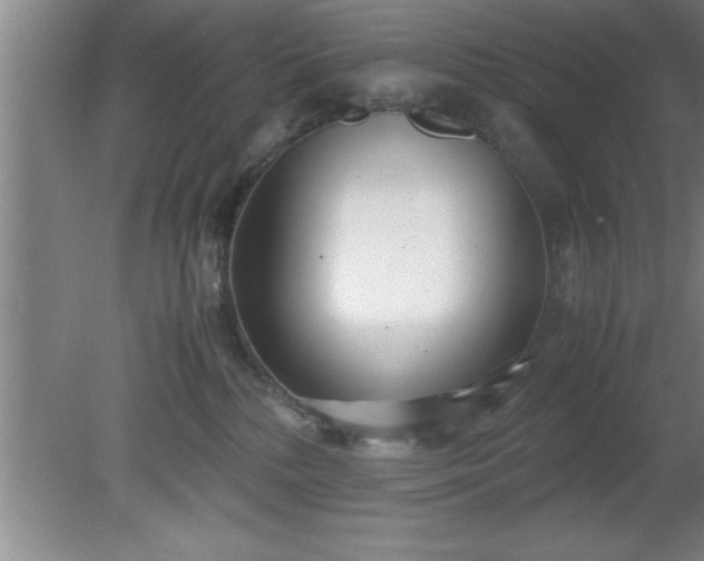 X0000080170232200612151931