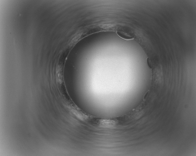 X0000080170234200612151931