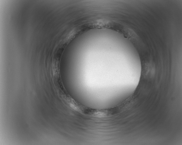 X0000080170236200612151931