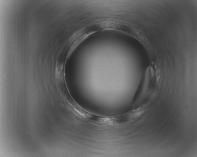 X0000080170239200612151930