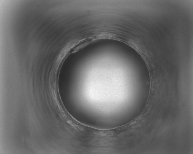 X0000080170241200612151930