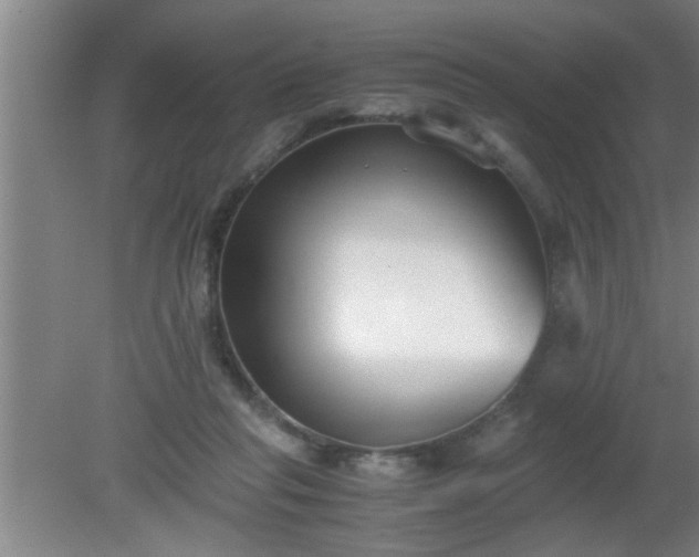 X0000080170261200612151930