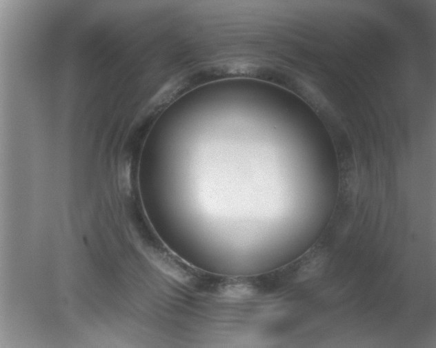 X0000080170262200612151930