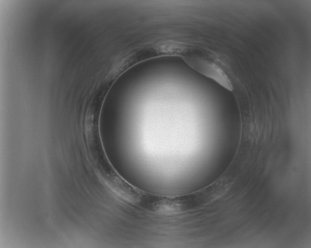 X0000080170263200612151930