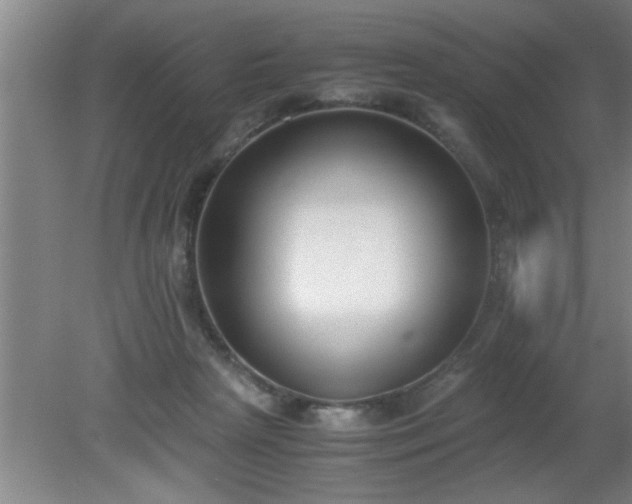 X0000080170265200612151930