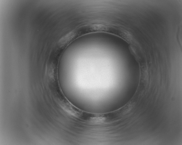 X0000080170266200612151930