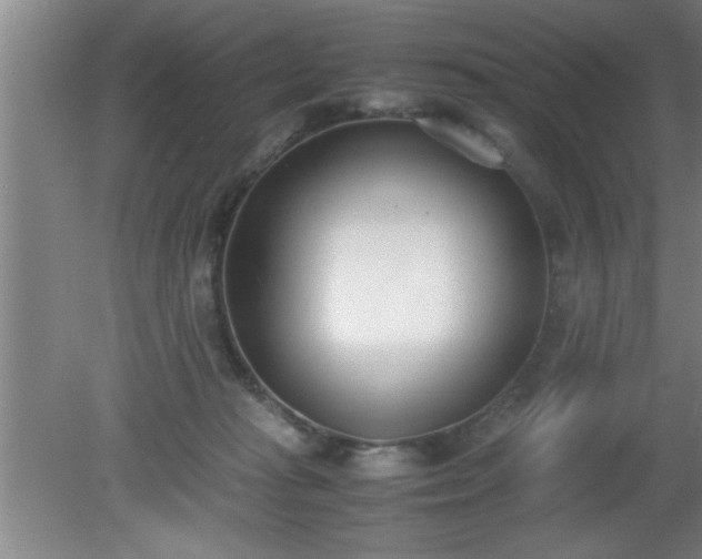 X0000080170269200612151930