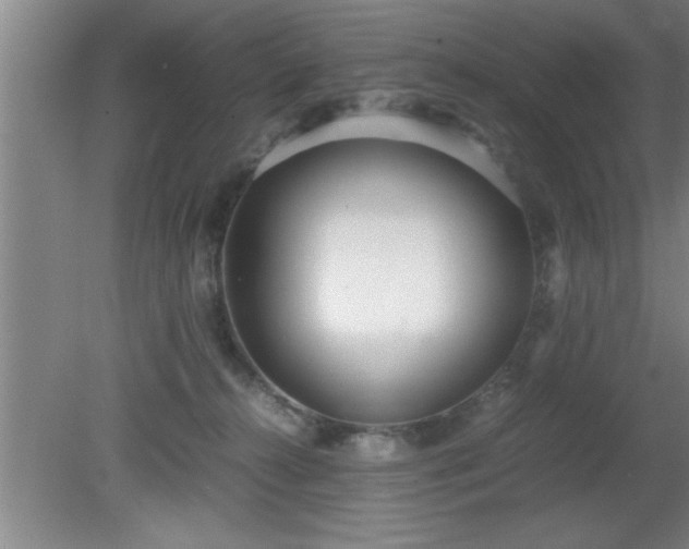 X0000080170272200612151930