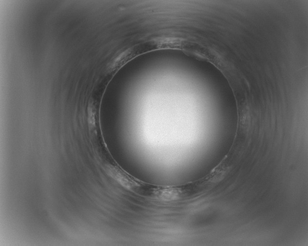 X0000080170282200612151930