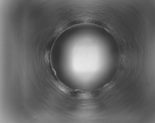 X0000080170286200612151930