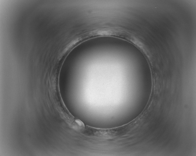 X0000080170297200612151929