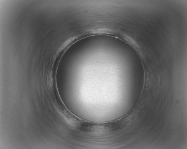 X0000080170298200612151929