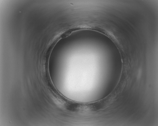 X0000080170299200612151929