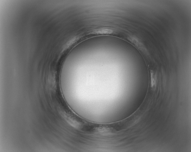 X0000080170300200612151929