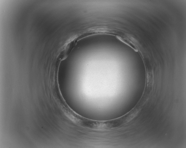 X0000080170301200612151929