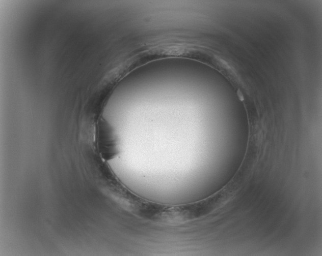 X0000080170307200612151929