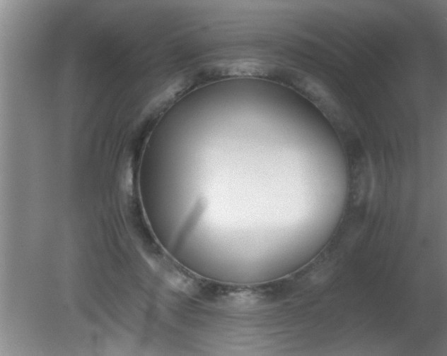 X0000080170310200612151929