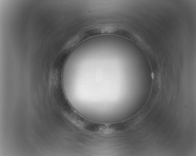 X0000080170311200612151929