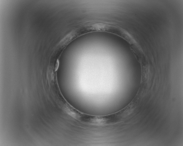 X0000080170313200612151929