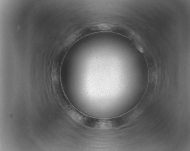 X0000080170317200612151929