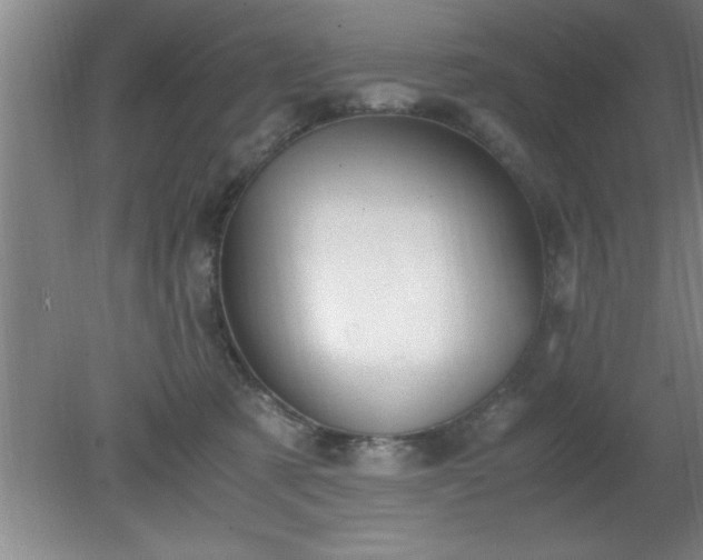 X0000080170321200612151929