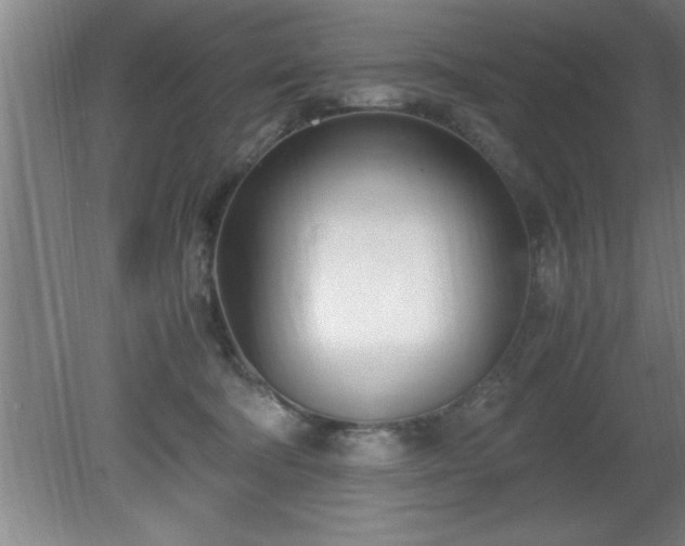 X0000080170322200612151929