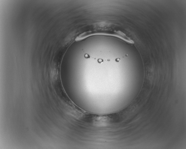 X0000080170324200612151929