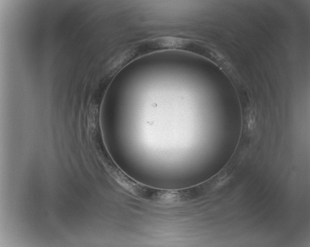 X0000080170325200612151929