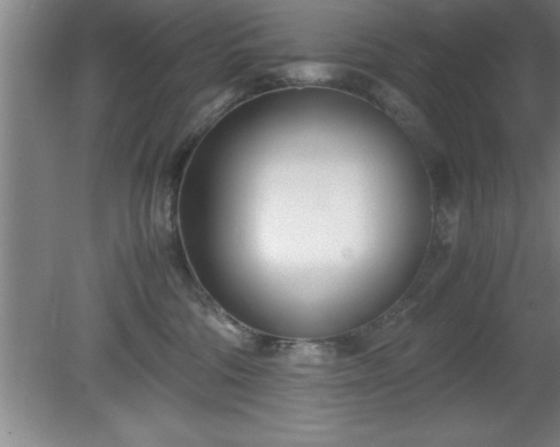 X0000080170330200612151929