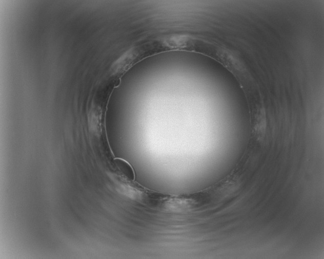 X0000080170332200612151929