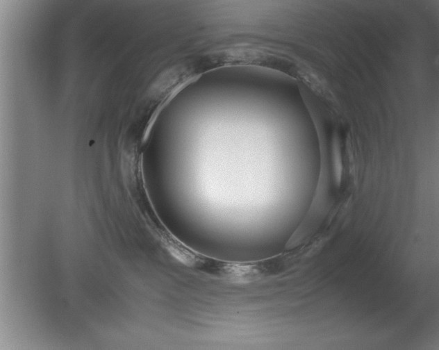 X0000080170333200612151929